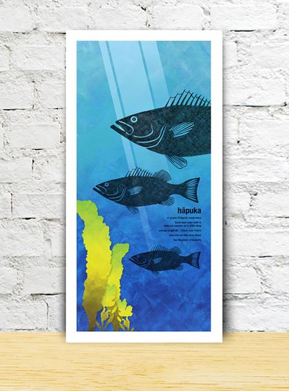 Hapuka limited edition print – New Zealand native fish series