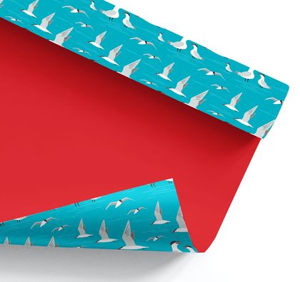 Wrapping Paper – Taranui (Caspian tern): NZ Flora and Fauna