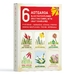6 card gift pack of A6 greeting cards with craft envelopes – New Zealand native flower series illustration.