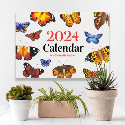 2024 Calendar – New Zealand Butterflies