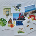 Pack of 10 Assorted Greeting Cards: Variety Pack