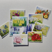 Pack of 10 Assorted Greeting Cards: Pretty Floral Collection