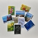 Gift Pack of 10 Assorted NZ Flowers and Scene Cards
