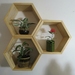 Hex Shelves (Pine) - Set of 3 