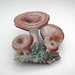 sale - Mushroom cluster brooch