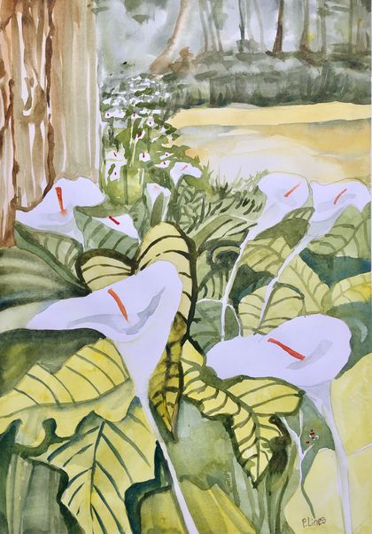 White Lily. Original Watercolour.