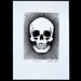 Skull - Lino Print Black & White