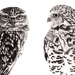 Owl Pair 2020 - limited edition archival print A2