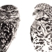 Owl Pair 2020 - limited edition archival print A3