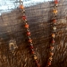 Necklace - Carnelian - fine linked chain
