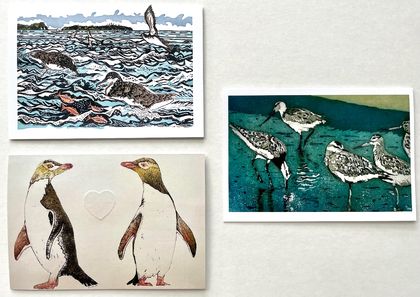 Set of 6 New Zealand Seabird greeting cards.