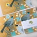 NZ birds DESIGNER CARD pack of 6