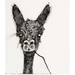 Fine Art Print - Llama / Alpaca - Quirky Lamoid 3