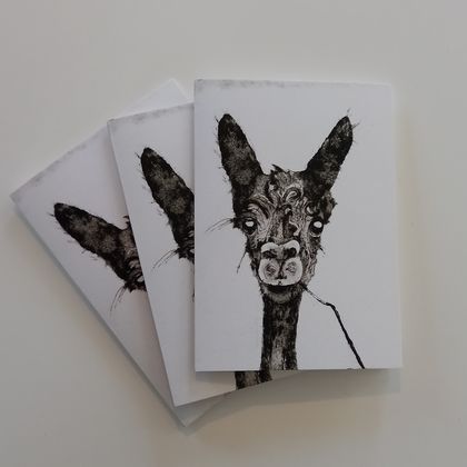 Greeting Cards (3 Pack) - Llama / Alpaca
