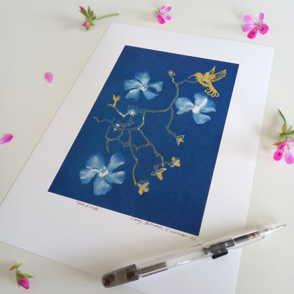 Art Print - Botanical Hummingbird Cyanotype