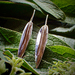 Handmade Silver Botanical Earrings
