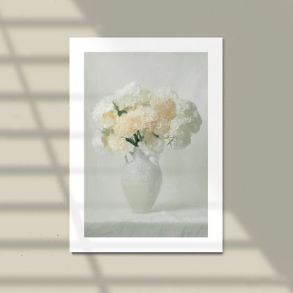 The White Hydrangea - A2 Limited edition photographic fine art print