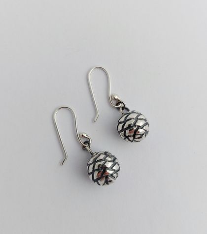 Kauri cone earrings