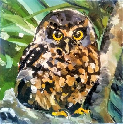 Owl in Oil - Original painting.