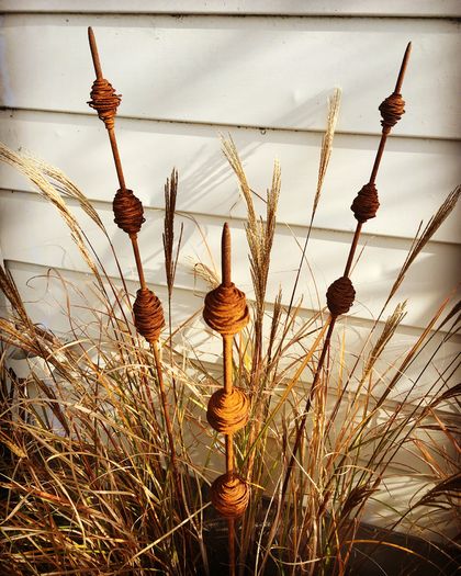 Rusty Seedpods