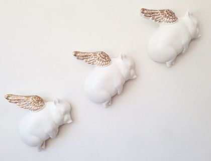 Oink Flying Pigs - White & Gold