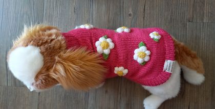 Knitted Dog Coat - Watermelon Daisies