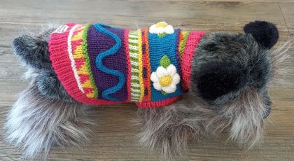 Knitted Dog Coat - Melon Mix