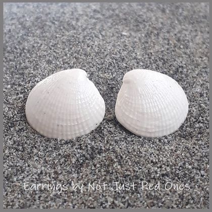 Ceramic Sea Shell Earring