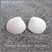 Ceramic Sea Shell Earring