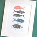 Lino Cut Print: Red Fish, Blue Fish, NZ Fish