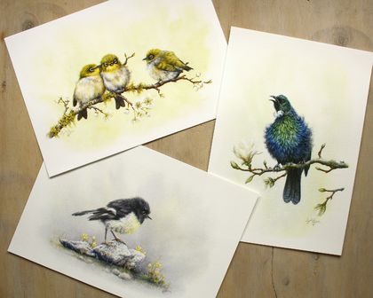 Set of 3 Art Prints - Tui, Tomtit & Waxeyes - New Zealand Native Bird Art