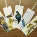 Bookmark Set of 5 - NZ Bird Bookmarks