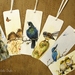Bookmark Set of 6 - NZ Bird Bookmarks