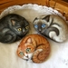 Painted Rocks - Siamese, Ginger Black Cats - Animal Art Gifts - Cat Paintings