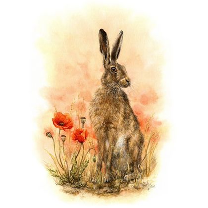 Art Print of Hare & Red Poppies - Animal Wall Art