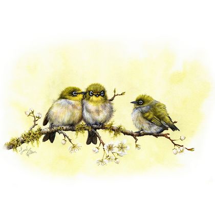Art Print of Silvereyes - NZ Native Birds - Waxeye Art