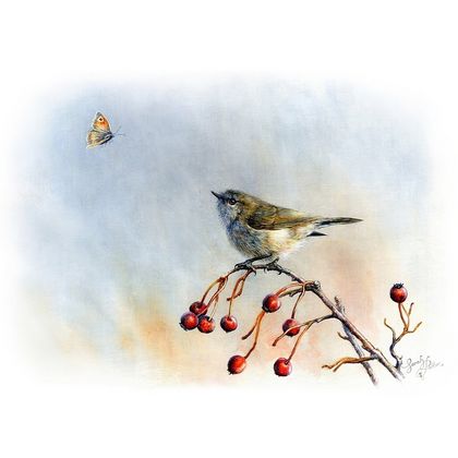 Art Print of Grey Warbler & Butterfly Painting - NZ Birds Wall Art