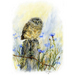 Art Print of Baby Morepork Owl Painting - NZ Art Prints - Ruru
