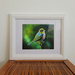 "Tauhou" Framed Print