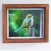 "Tauhou" Framed Print