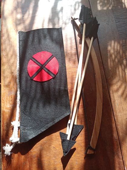 Bow and Arrows with target bag
