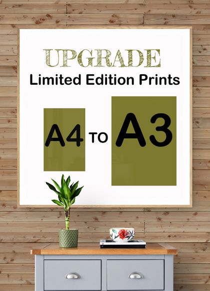 UPGRADE - A4 to A3 