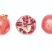 'Pomegranates' A3 Limited Edition Giclée Print