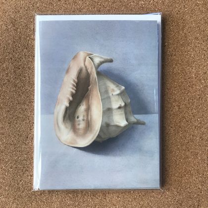'Conch Shell' x 4 Fine Art Cards