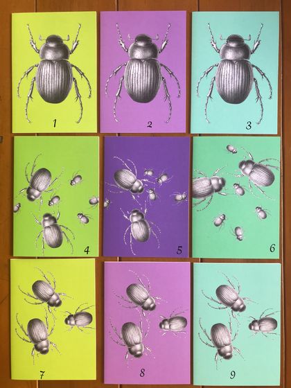 'Cromwell chafer - Prodontia lewisii' blank cards