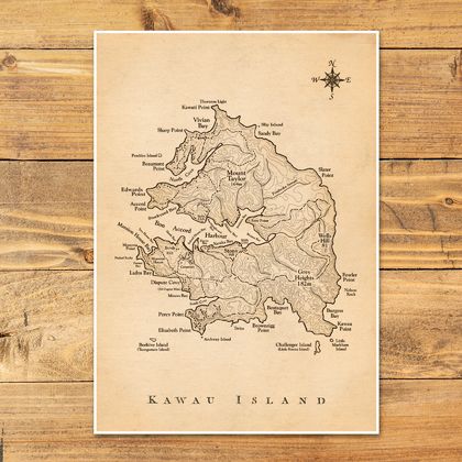 Kawau Island Vintage Map - A2 Art Print
