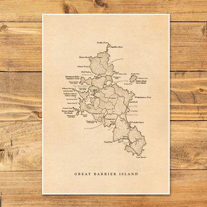 Great Barrier Island Map Vintage - A2 Print