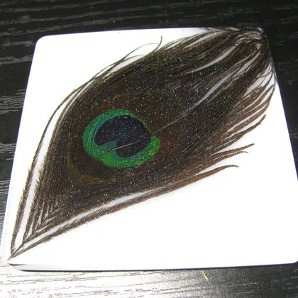 Set of 4 Coasters - Peacock Feather