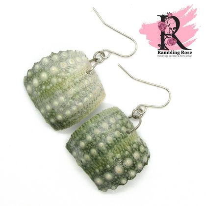 Kina Shell / Sea Urchin Shell earrings - Med