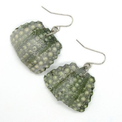 Kina Shell / Sea Urchin Shell earrings - ML